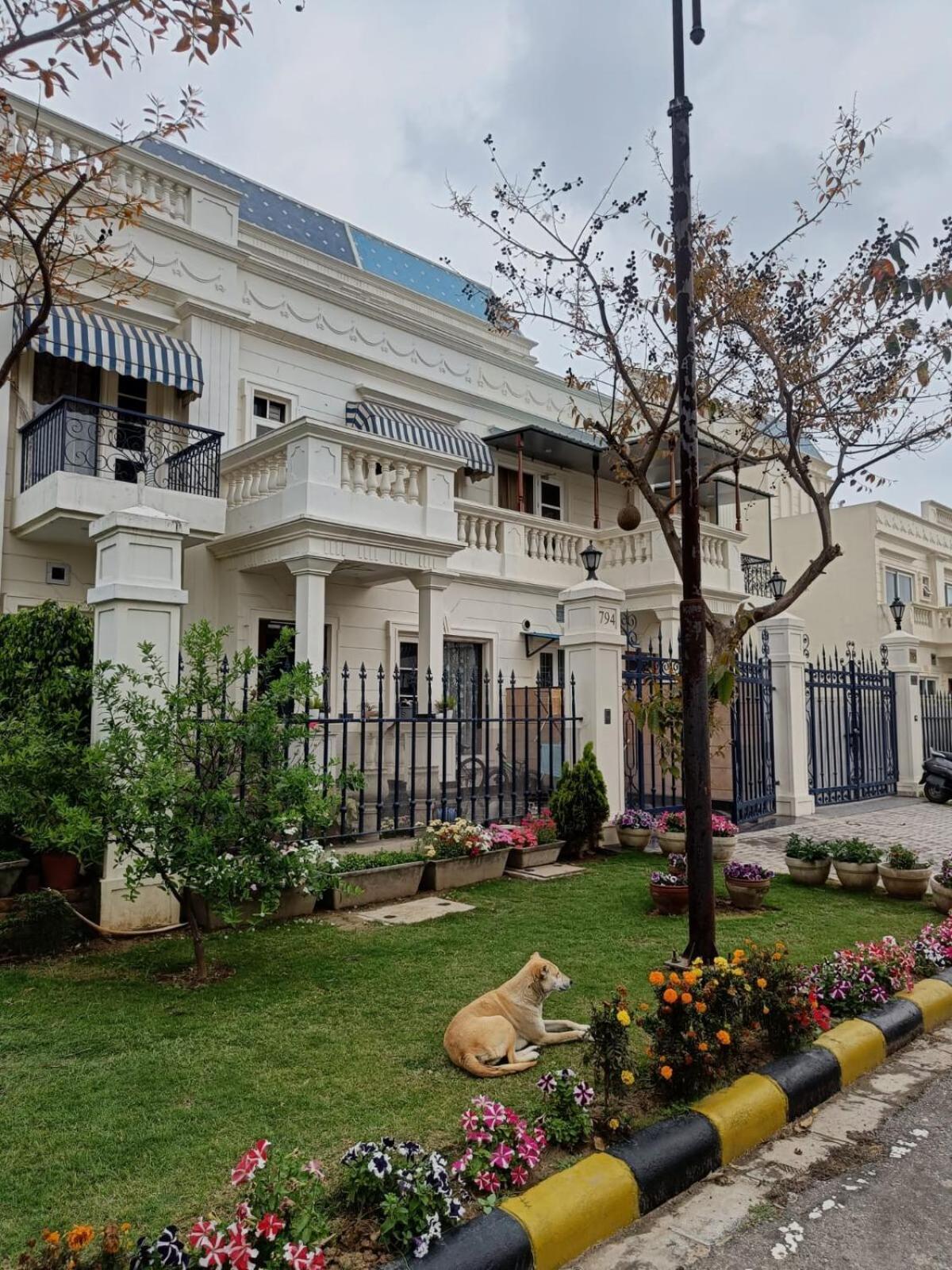 Nova Villa With Patio Escape Amritsar Extérieur photo